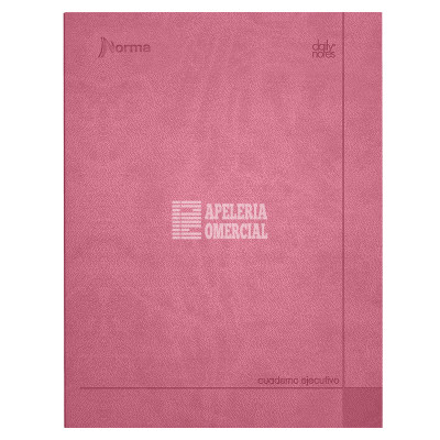 LIBRETA EJECUTIVA NORMA 23 X 29 CM. 100 HOJAS