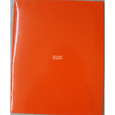 FOLDER T.CARTA PLASTIFICADO C/NARANJA NEON