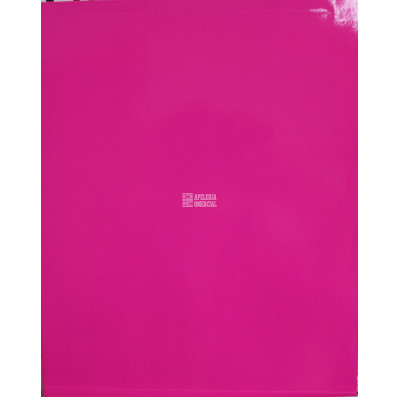 FOLDER T.CARTA PLASTIFICADO C/ROSA NEON